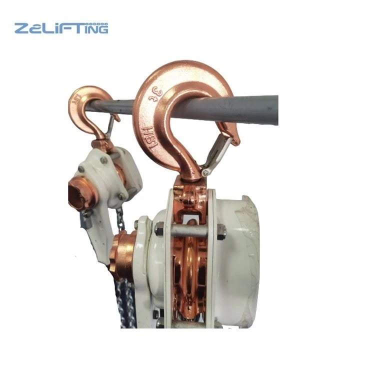 Explosion Proof Chain Hoist